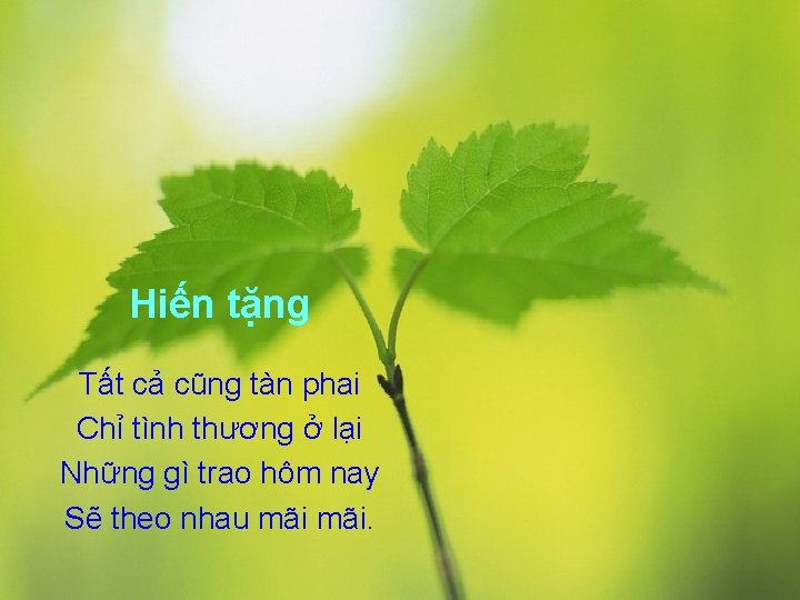 Hiến tặng Tất cả cũng tàn phai Chỉ tình thương ở lại Những gì