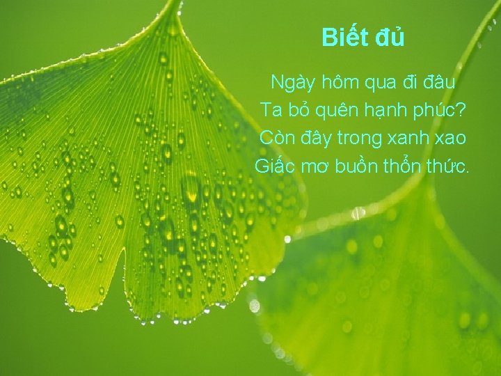 Biết đủ Ngày hôm qua đi đâu Ta bỏ quên hạnh phúc? Còn đây