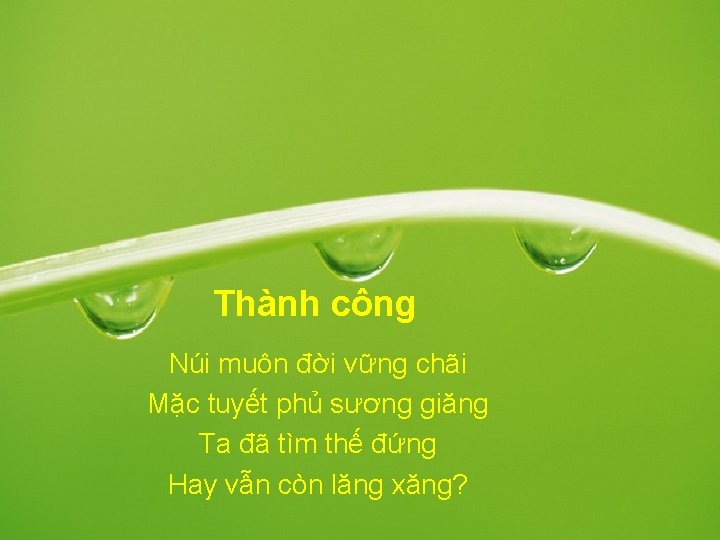 Thành công Núi muôn đời vững chãi Mặc tuyết phủ sương giăng Ta đã