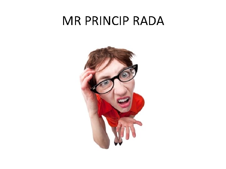 MR PRINCIP RADA 