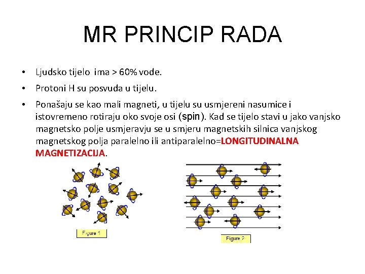 MR PRINCIP RADA • Ljudsko tijelo ima > 60% vode. • Protoni H su