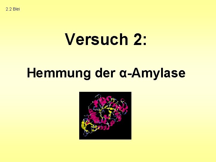 2. 2 Blei Versuch 2: Hemmung der α-Amylase 