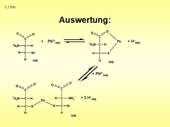 2. 2 Blei Auswertung: + Pb 2+(aq) + H+(aq) + Pb 2+(aq) + 2