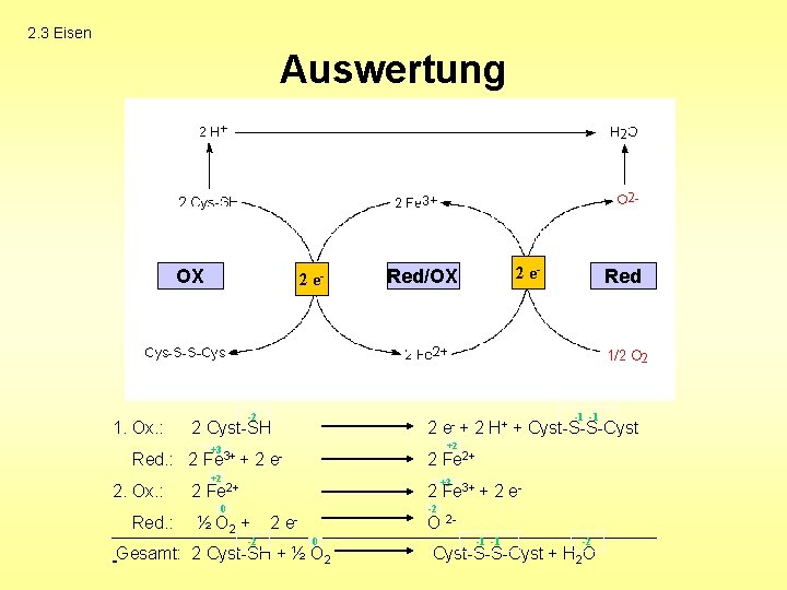 2. 3 Eisen Auswertung OX 1. Ox. : -2 Red. : +3 Fe 3+