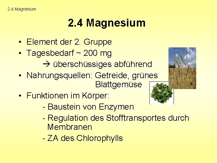 2. 4 Magnesium • Element der 2. Gruppe • Tagesbedarf ~ 200 mg überschüssiges