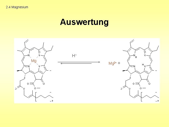 2. 4 Magnesium Auswertung H+ Mg Mg 2+ + 