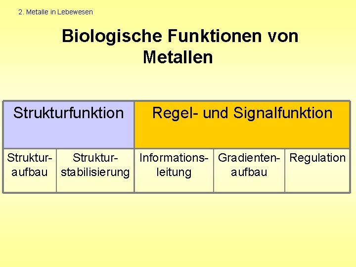 2. Metalle in Lebewesen Biologische Funktionen von Metallen Strukturfunktion Regel- und Signalfunktion Struktur. Informations-