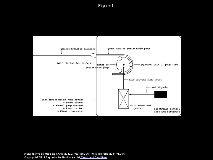 Figure 1 Reproductive Bio. Medicine Online 2012 24163 -169 DOI: (10. 1016/j. rbmo. 2011.