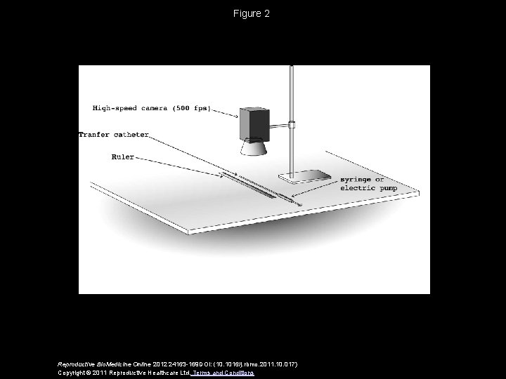 Figure 2 Reproductive Bio. Medicine Online 2012 24163 -169 DOI: (10. 1016/j. rbmo. 2011.