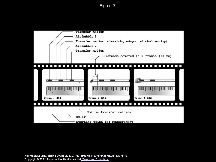 Figure 3 Reproductive Bio. Medicine Online 2012 24163 -169 DOI: (10. 1016/j. rbmo. 2011.