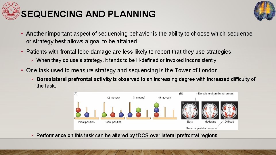 SEQUENCING AND PLANNING • Another important aspect of sequencing behavior is the ability to