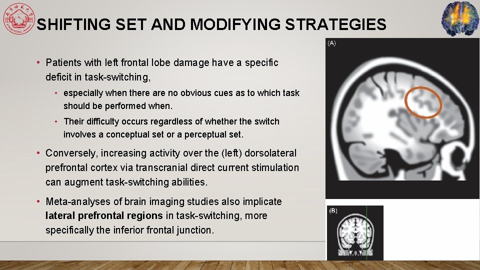 SHIFTING SET AND MODIFYING STRATEGIES • Patients with left frontal lobe damage have a