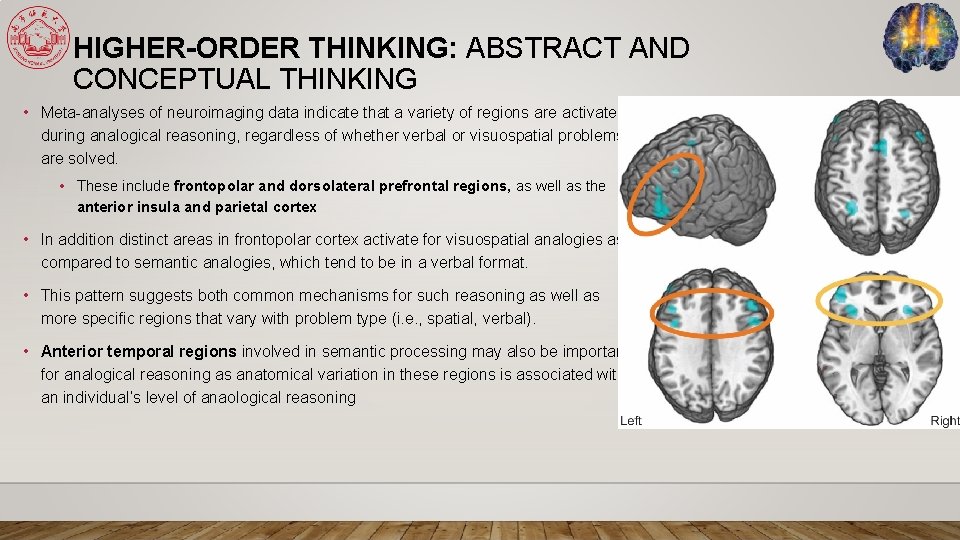 HIGHER-ORDER THINKING: ABSTRACT AND CONCEPTUAL THINKING • Meta-analyses of neuroimaging data indicate that a