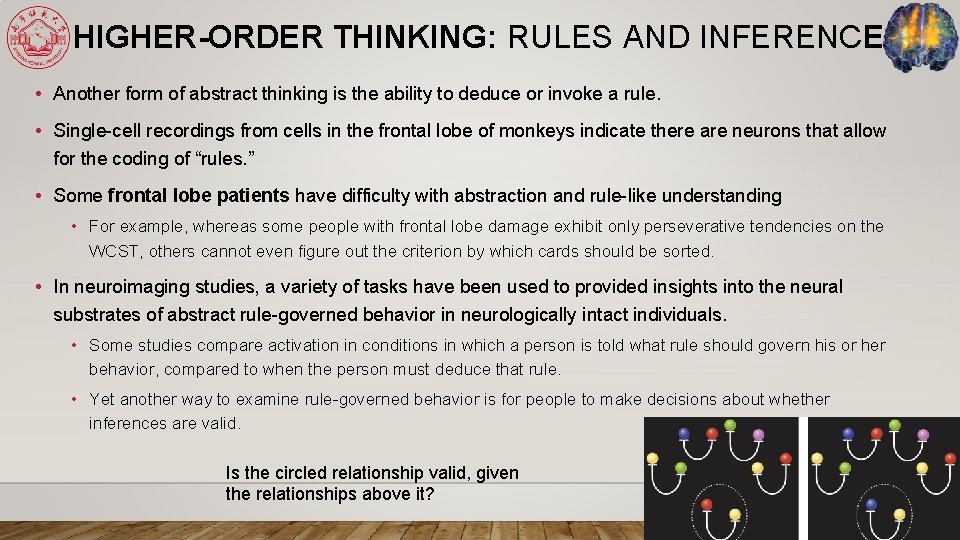 HIGHER-ORDER THINKING: RULES AND INFERENCE • Another form of abstract thinking is the ability