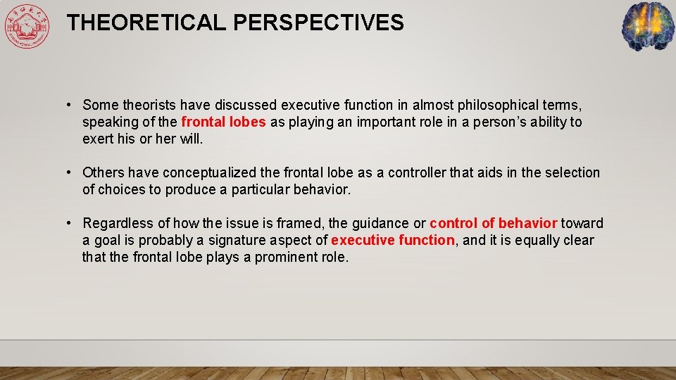 THEORETICAL PERSPECTIVES • Some theorists have discussed executive function in almost philosophical terms, speaking