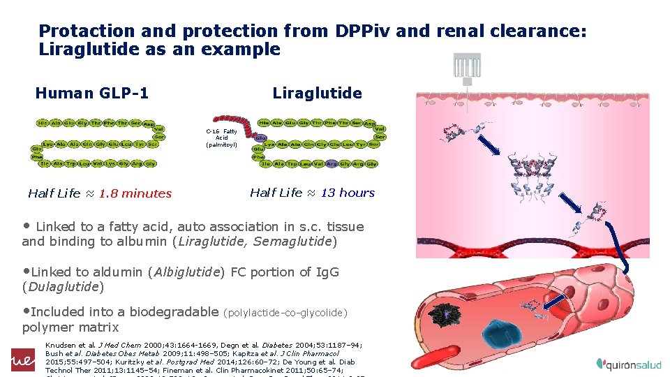 15: 18 Protaction and protection from DPPiv and renal clearance: Liraglutide as an example