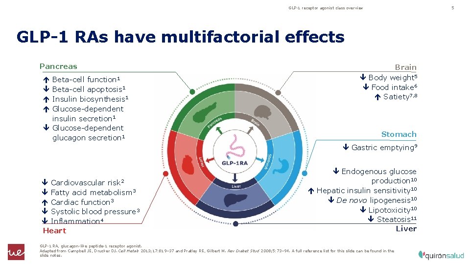 GLP-1 receptor agonist class overview 5 GLP-1 RAs have multifactorial effects Pancreas Beta-cell function