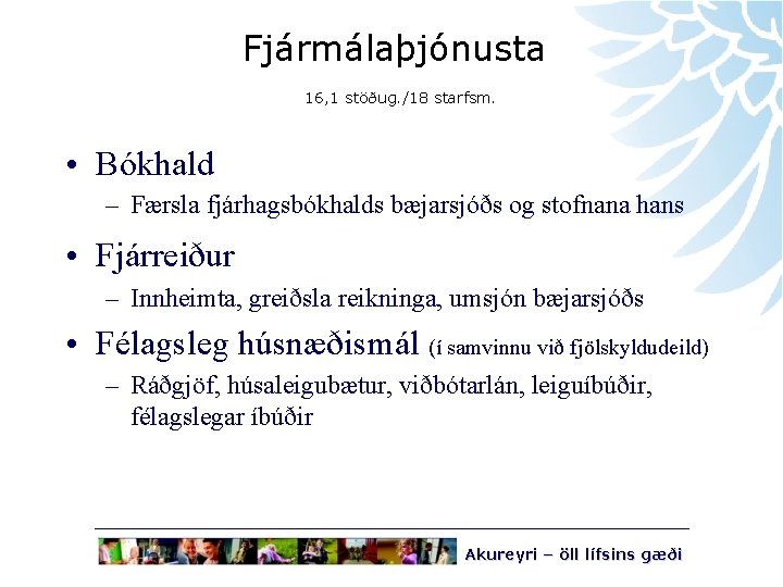 Fjármálaþjónusta 16, 1 stöðug. /18 starfsm. • Bókhald – Færsla fjárhagsbókhalds bæjarsjóðs og stofnana