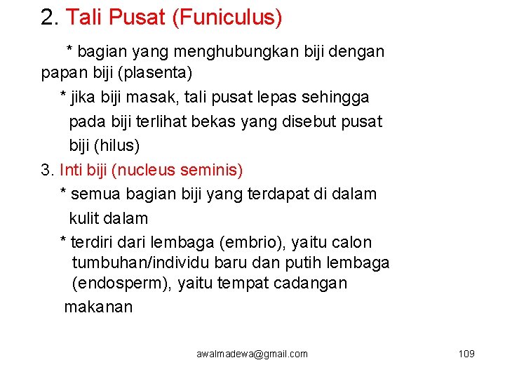 2. Tali Pusat (Funiculus) * bagian yang menghubungkan biji dengan papan biji (plasenta) *