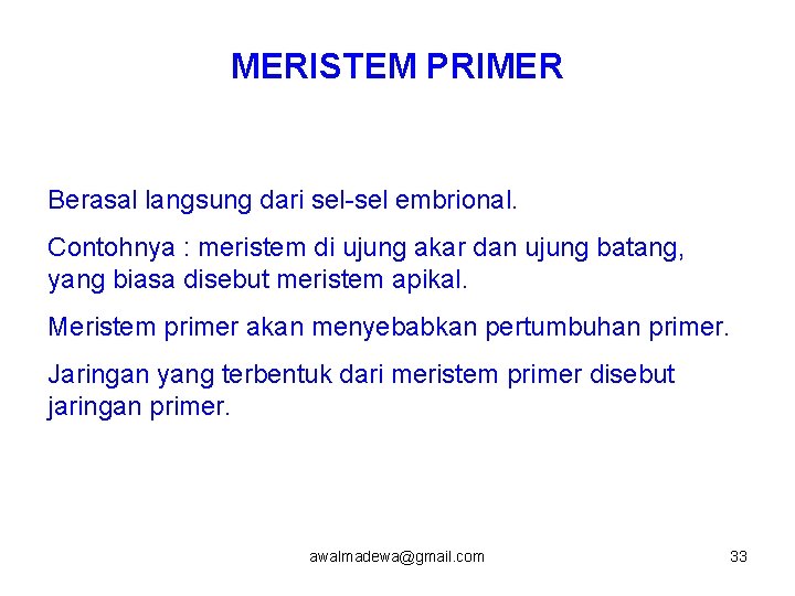 MERISTEM PRIMER Berasal langsung dari sel-sel embrional. Contohnya : meristem di ujung akar dan