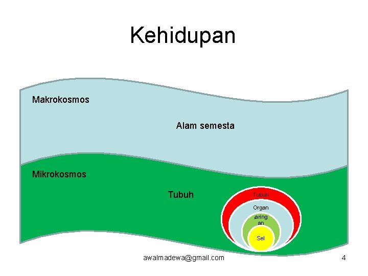 Kehidupan Makrokosmos Alam semesta Mikrokosmos Tubuh Organ jaring an Sel awalmadewa@gmail. com 4 