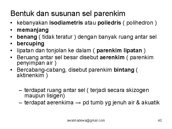 Bentuk dan susunan sel parenkim • • • kebanyakan isodiametris atau poliedris ( polihedron