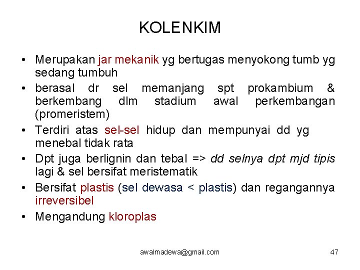 KOLENKIM • Merupakan jar mekanik yg bertugas menyokong tumb yg sedang tumbuh • berasal