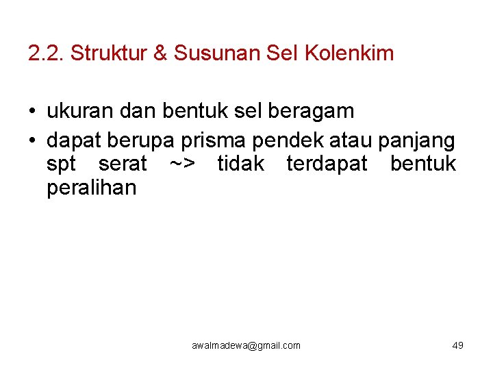 2. 2. Struktur & Susunan Sel Kolenkim • ukuran dan bentuk sel beragam •