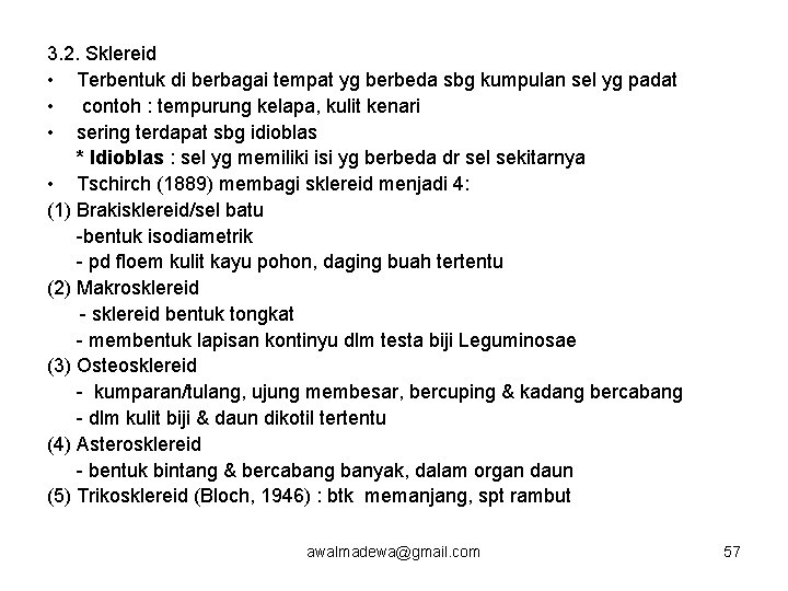 3. 2. Sklereid • Terbentuk di berbagai tempat yg berbeda sbg kumpulan sel yg