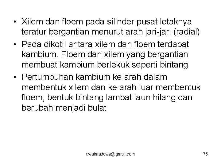  • Xilem dan floem pada silinder pusat letaknya teratur bergantian menurut arah jari-jari