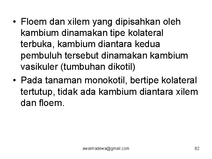  • Floem dan xilem yang dipisahkan oleh kambium dinamakan tipe kolateral terbuka, kambium