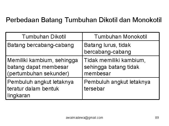 Perbedaan Batang Tumbuhan Dikotil dan Monokotil Tumbuhan Dikotil Batang bercabang-cabang Tumbuhan Monokotil Batang lurus,