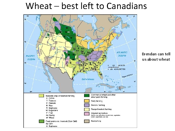 Wheat – best left to Canadians Brendan can tell us about wheat 