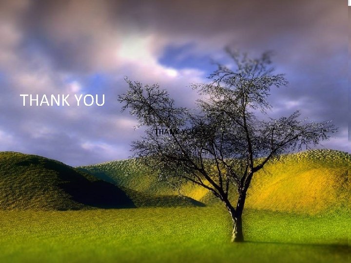 THANK YOU 