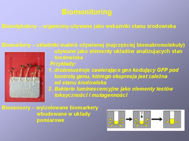 Biomonitoring Bioindykatory – organizmy używane jako wskaźniki stanu środowiska Biomarkery – składniki materii ożywionej