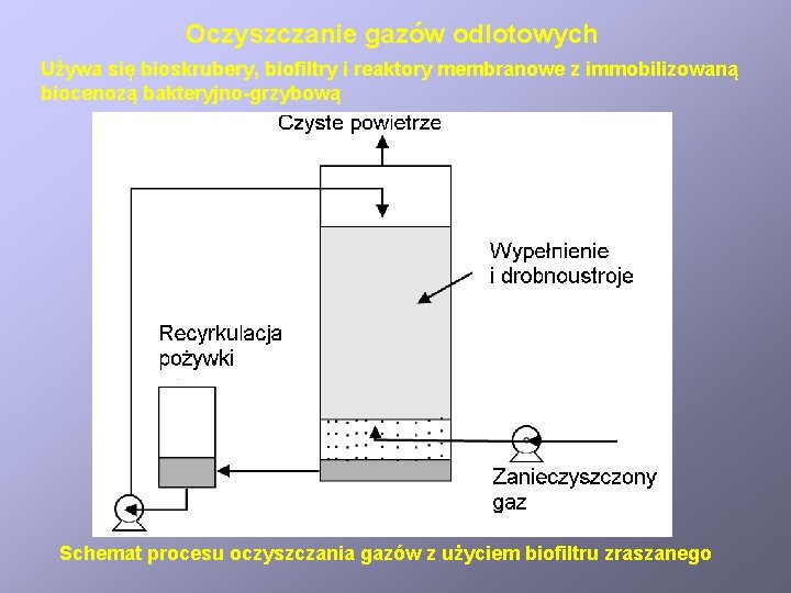 Oczyszczanie gazów odlotowych Używa się bioskrubery, biofiltry i reaktory membranowe z immobilizowaną biocenozą bakteryjno-grzybową