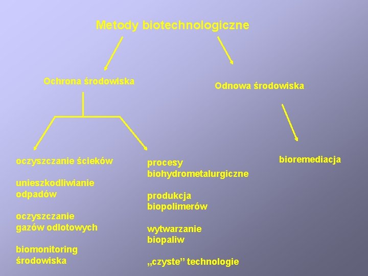 Metody biotechnologiczne Ochrona środowiska oczyszczanie ścieków unieszkodliwianie odpadów oczyszczanie gazów odlotowych biomonitoring środowiska Odnowa