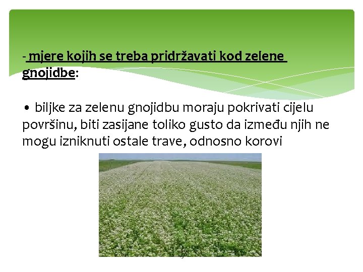 - mjere kojih se treba pridržavati kod zelene gnojidbe: • biljke za zelenu gnojidbu