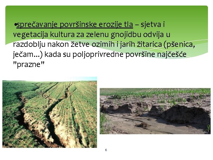  • sprečavanje površinske erozije tla – sjetva i vegetacija kultura za zelenu gnojidbu