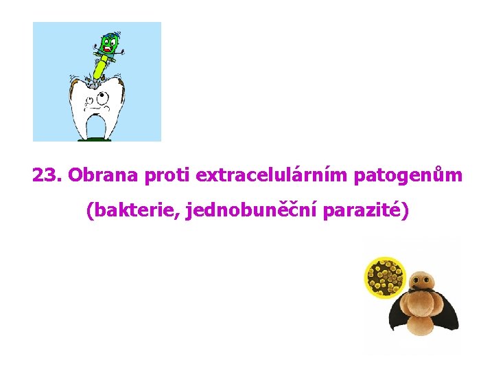23. Obrana proti extracelulárním patogenům (bakterie, jednobuněční parazité) 