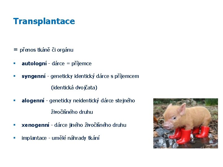 Transplantace = přenos tkáně či orgánu autologní - dárce = příjemce syngenní - geneticky