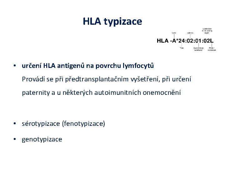 HLA typizace • určení HLA antigenů na povrchu lymfocytů Provádí se při předtransplantačním vyšetření,