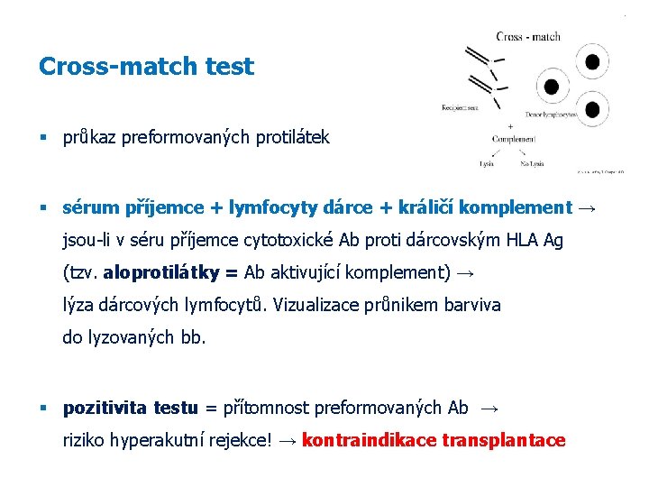 Cross-match test průkaz preformovaných protilátek sérum příjemce + lymfocyty dárce + králičí komplement →