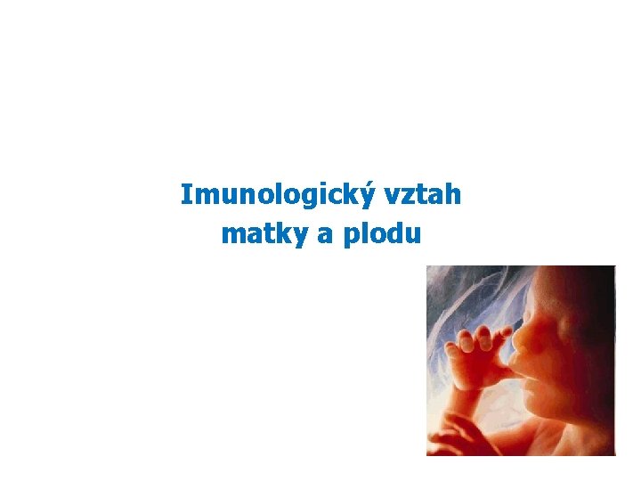 Imunologický vztah matky a plodu 