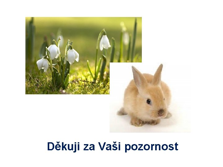 Děkuji za Vaši pozornost 