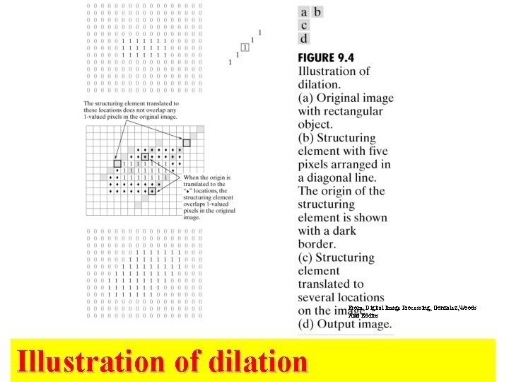 From: Digital Image Processing, Gonzalez, Woods And Eddins Illustration of dilation From: Digital Image Processing, Gonzalez, Woods And Eddins Illustration of dilation
