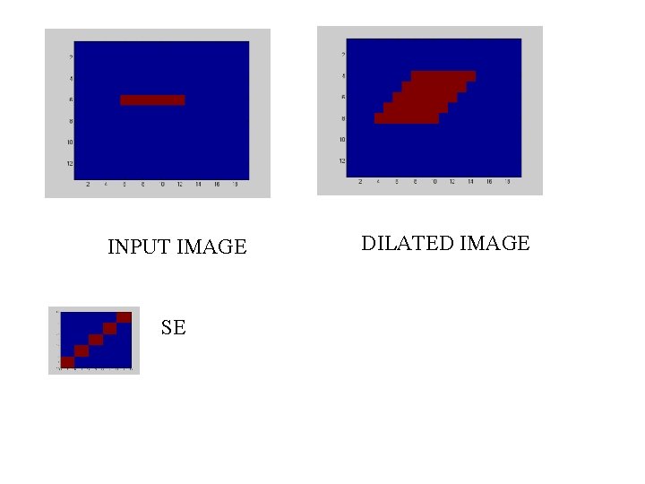 INPUT IMAGE SE DILATED IMAGE INPUT IMAGE SE DILATED IMAGE