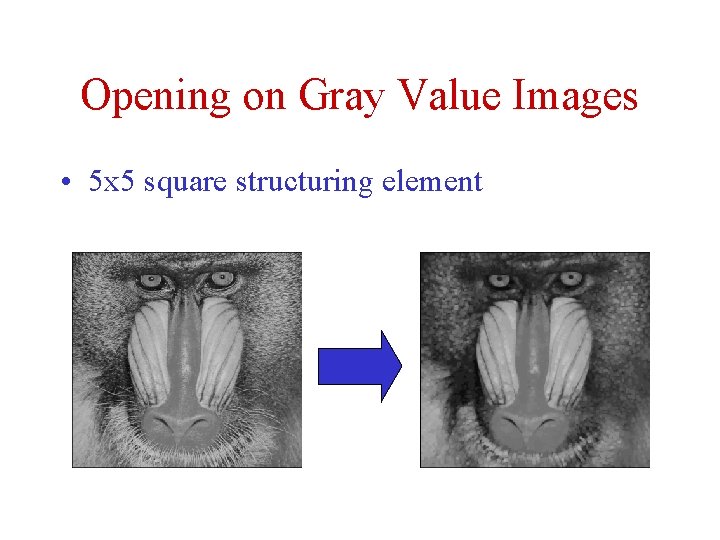 Opening on Gray Value Images • 5 x 5 square structuring element Opening on Gray Value Images • 5 x 5 square structuring element