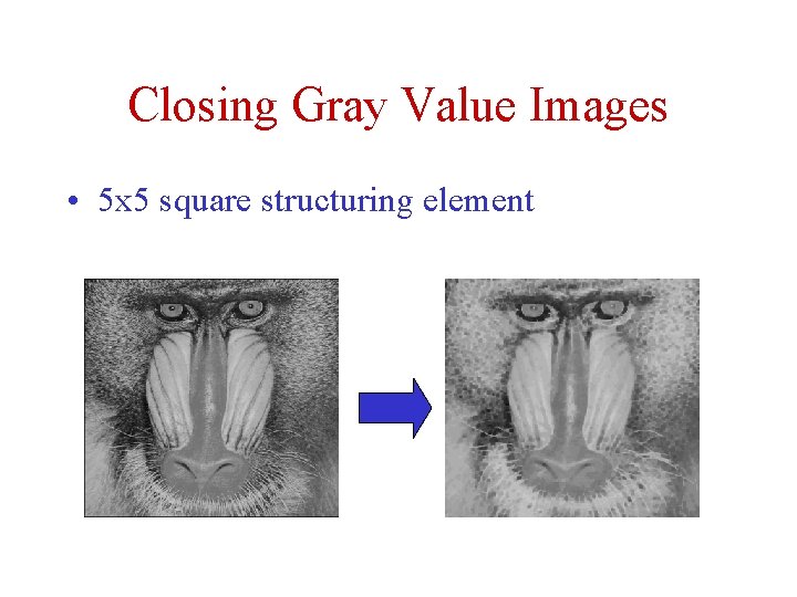 Closing Gray Value Images • 5 x 5 square structuring element Closing Gray Value Images • 5 x 5 square structuring element