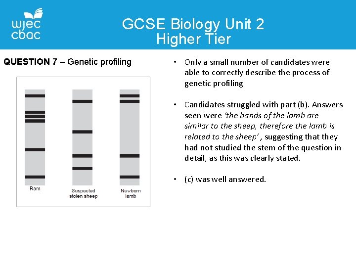 GCSE Biology Unit 2 Higher Tier QUESTION 7 – Genetic profiling • Only a GCSE Biology Unit 2 Higher Tier QUESTION 7 – Genetic profiling • Only a